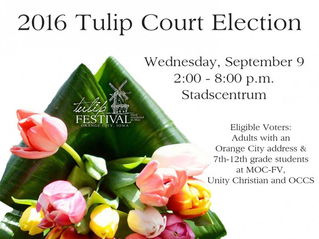 2016-Tulip-Court-Election-Ad
