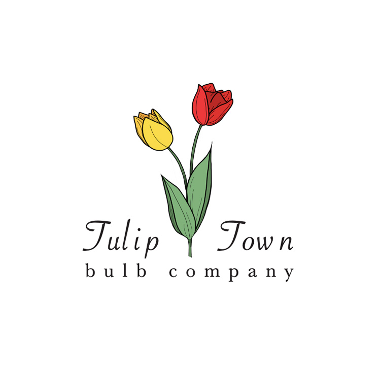 tulip town bulb company