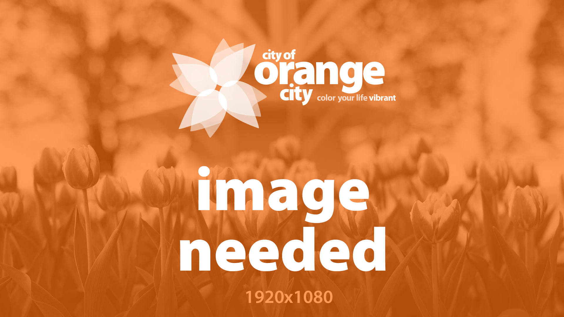 orangecity place placeholder 1920x1080 1 10